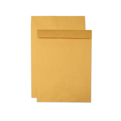 Quality Park Jumbo Envelopes, Plain, 28L